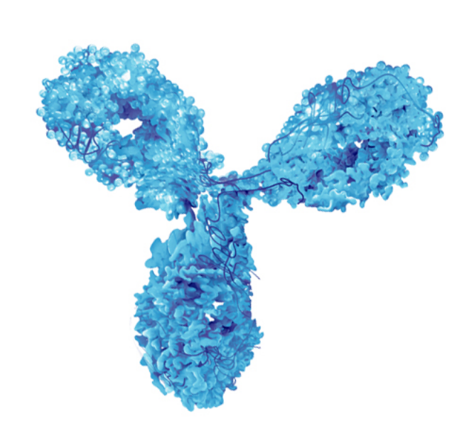 small molecule